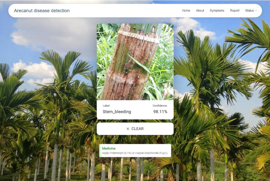 Arecanut Disease Detection